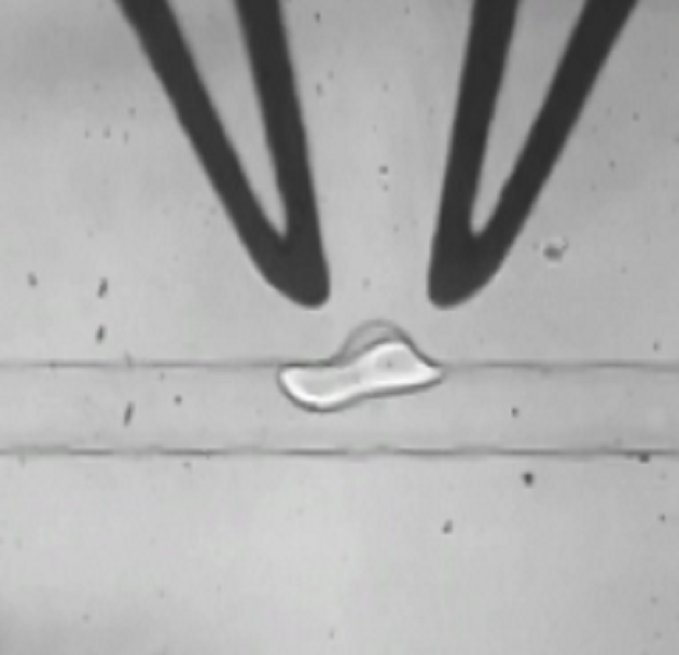 功率放大器微流控實驗結果